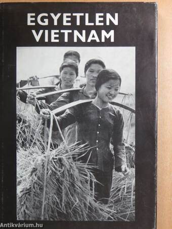 Egyetlen Vietnam