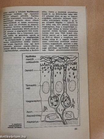 Univerzum 1985/1-12.