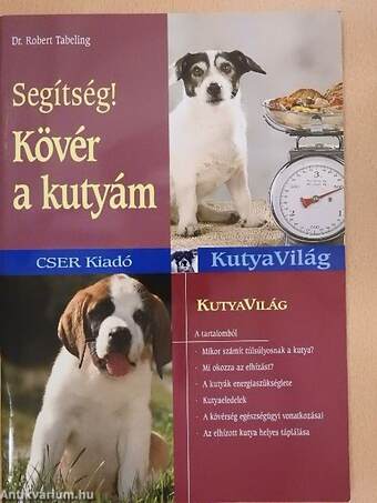 Segítség! Kövér a kutyám