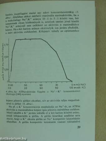 A biológia aktuális problémái 19.