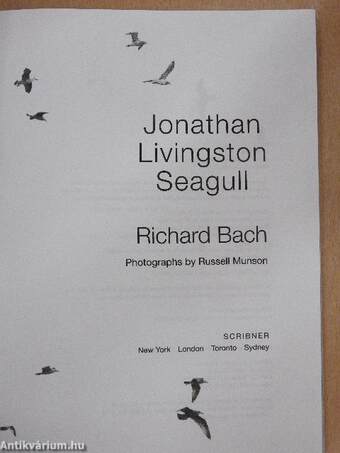 Jonathan Livingston Seagull