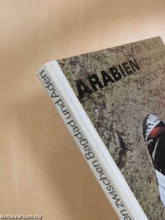 Arabien Impressionen zwischen Bagdad und Aden