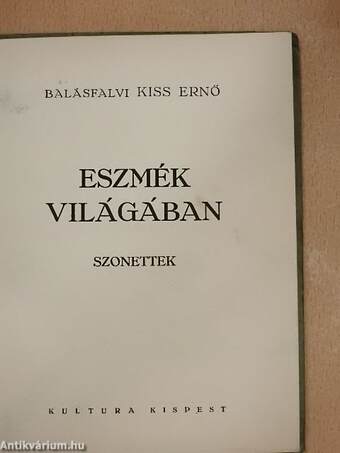 Eszmék világában