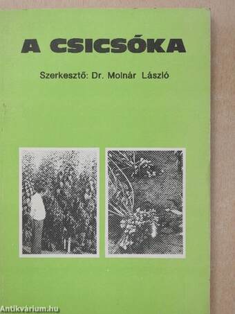 A csicsóka