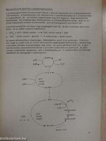 A máj néhány fontosabb biokémiai funkciója