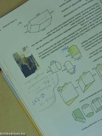 Lambacher Schweizer Mathematik für Gymnasien 5