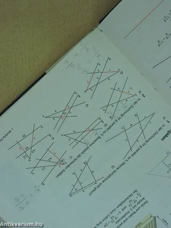 Lambacher Schweizer Mathematik für Gymnasien 5