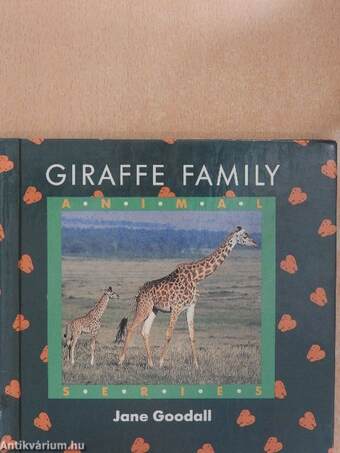 Giraffe family