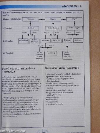 Angiológiai Útmutató 2007