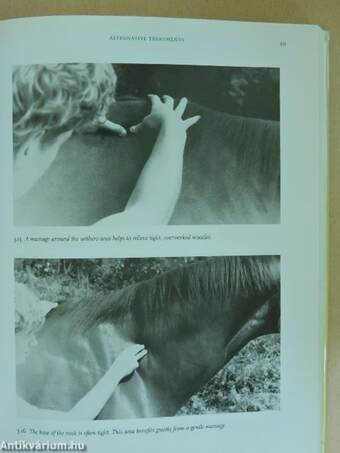 Complete Holistic Care and Healing for Horses