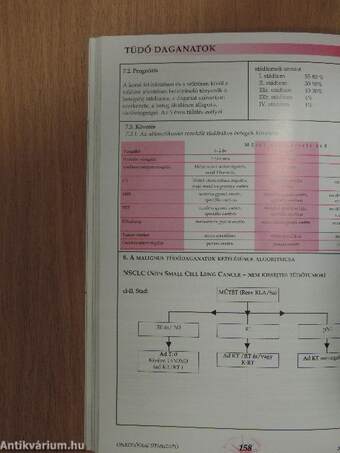 Onkológiai/Onkohematológiai Útmutató 2009 - CD-vel