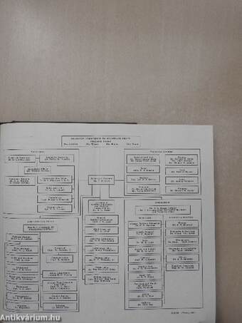 Papers Relating to the Foreign Relations of the United States - The Paris Peace Conference 1919/XI.