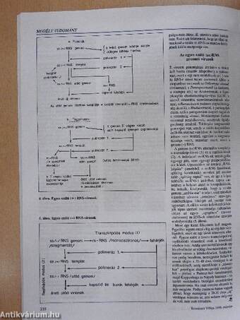 Természet Világa 1998. március