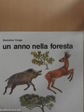 Un anno nella foresta