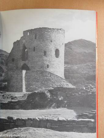 Cestyll Tywysogion Gwynedd/Castles of the Princes of Gwynedd