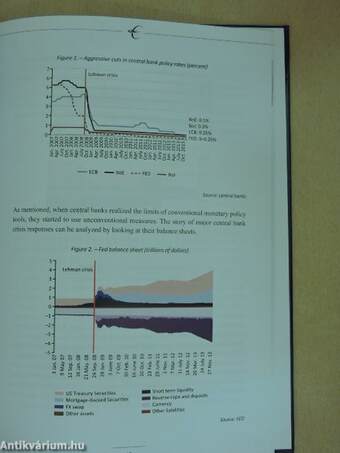 The Euro Dilemma - Inside or Outside