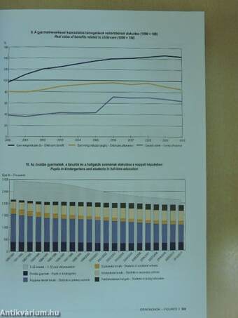 Magyar statisztikai évkönyv, 2010