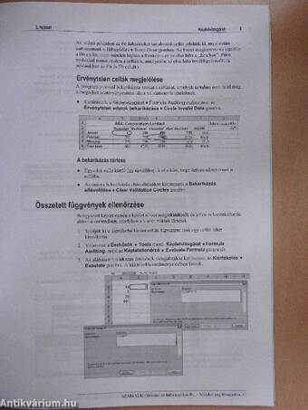 Microsoft Excel 2003 haladó ismeretek