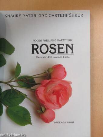 Rosen