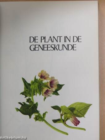 De plant in de geneeskunde