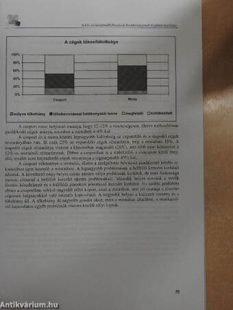 EU-csatlakozás és versenyképesség - GKI-tanulmányok II.