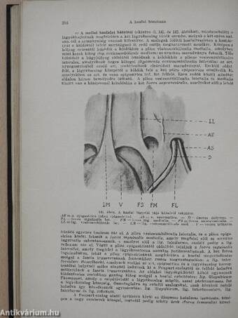 Sebészklinikai előadások II.