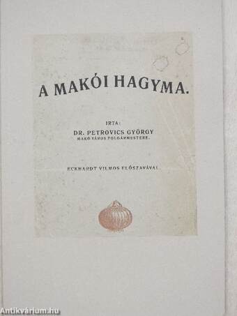 A makói hagyma