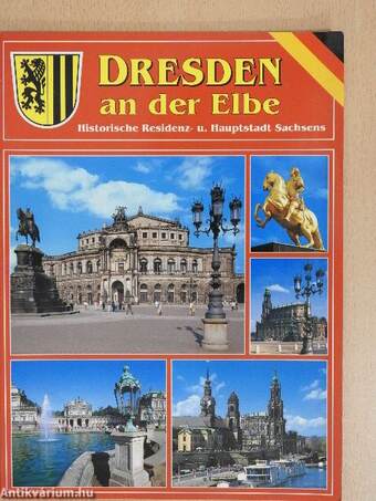 Dresden an der Elbe