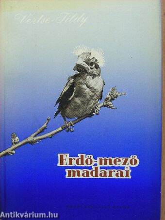 Erdő-mező madarai