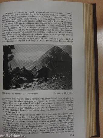 Turisták Lapja 1937. január-december/A Magyar Turista Szövetség Hivatalos Értesítője 1937. január-december