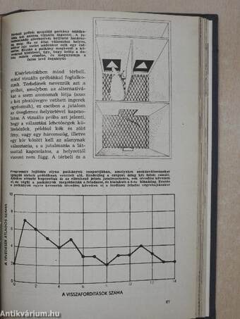 Univerzum 1965. (nem teljes évfolyam)