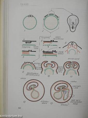 Biologia (aláírt példány)