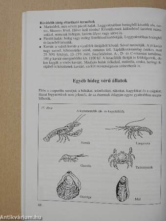 Élelmiszer alapismeretek