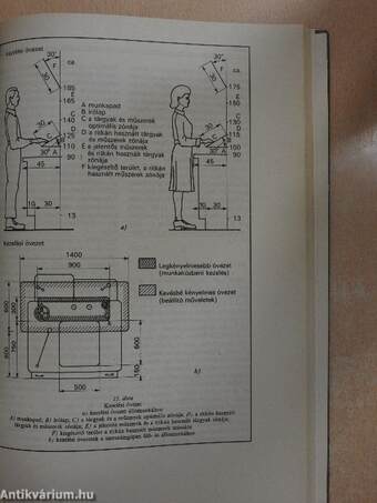 Ergonómiai kislexikon