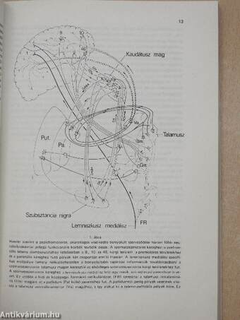 Pszichológia 1983/1-4.