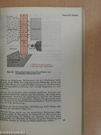 Pflanzenernährung in Stichworten