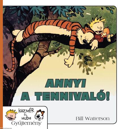 Annyi a tennivaló! -Kázmér és Huba 8.Képregény