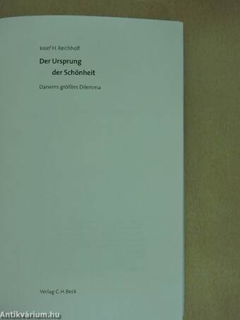 Der Ursprung der Schönheit