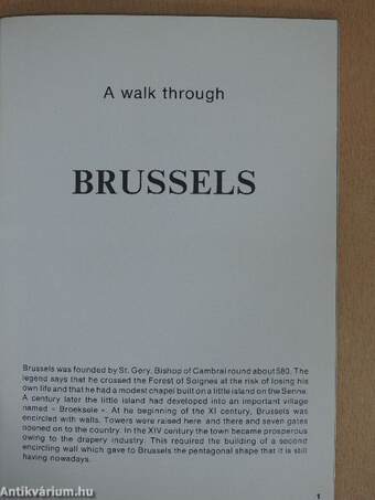 A walk through Brussels