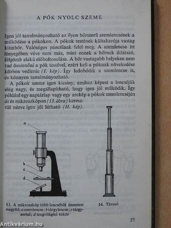 Hogyan lát az ember és az állat?