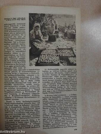 Élet és tudomány 1963. április 14. + Melléklet: Hétről hétre