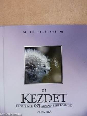 Új kezdet