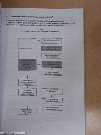 Kézikönyv a speciális központi programok kidolgozásához és alkalmazásához