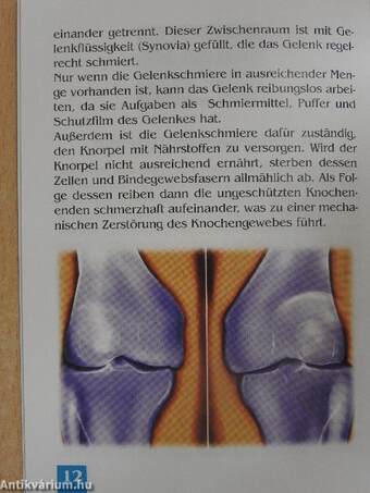 Hilfe bei Arthrose und Rheuma