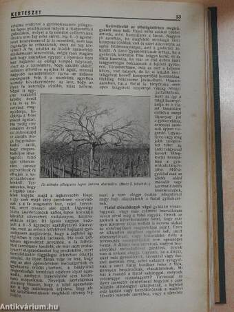 Kertészet 1937. január-december/Növényvédelem 1937. január-december