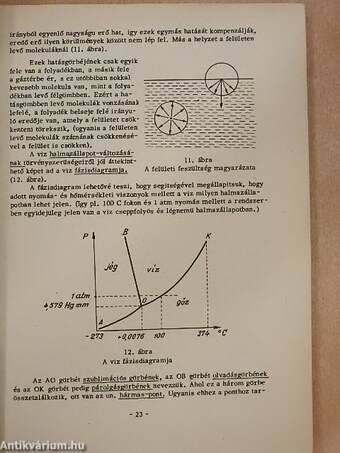 A biológia fizikai és kémiai alapjai