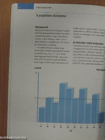 Projektmenedzsment