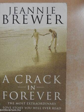 A Crack in Forever