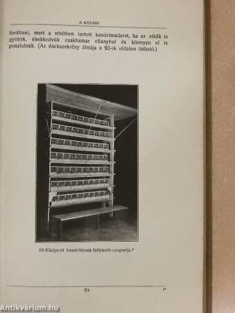 A kanári származása, tenyésztése és kiképezése szakszerű ábrákkal és képekkel tenyésztők és madárkedvelők részére/A kanári betegségei és azok gyógyitása