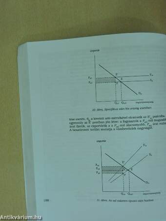 A nemzetközi gazdaságtan alapjai